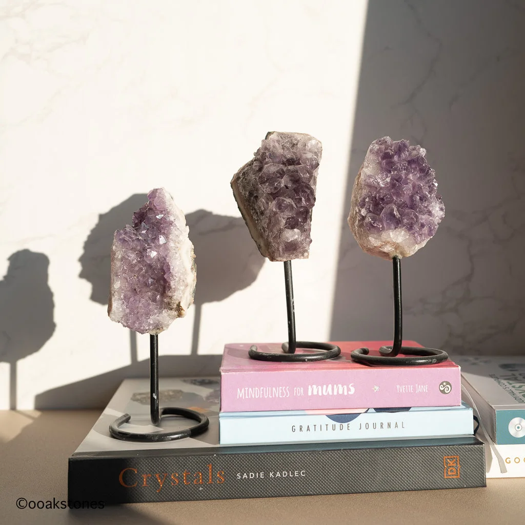 Amethyst Free form Clusters on stand