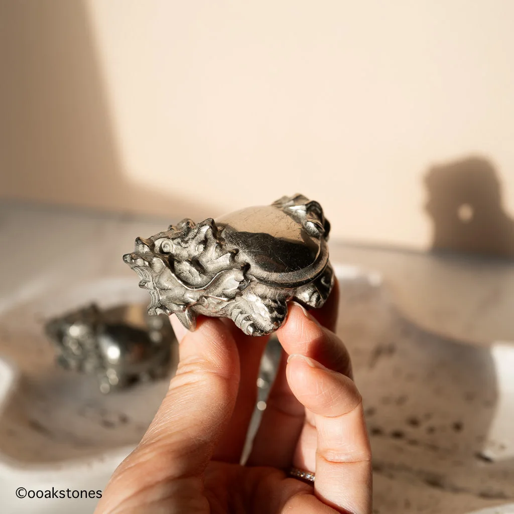 Chinese Dragon Turtle Carvings