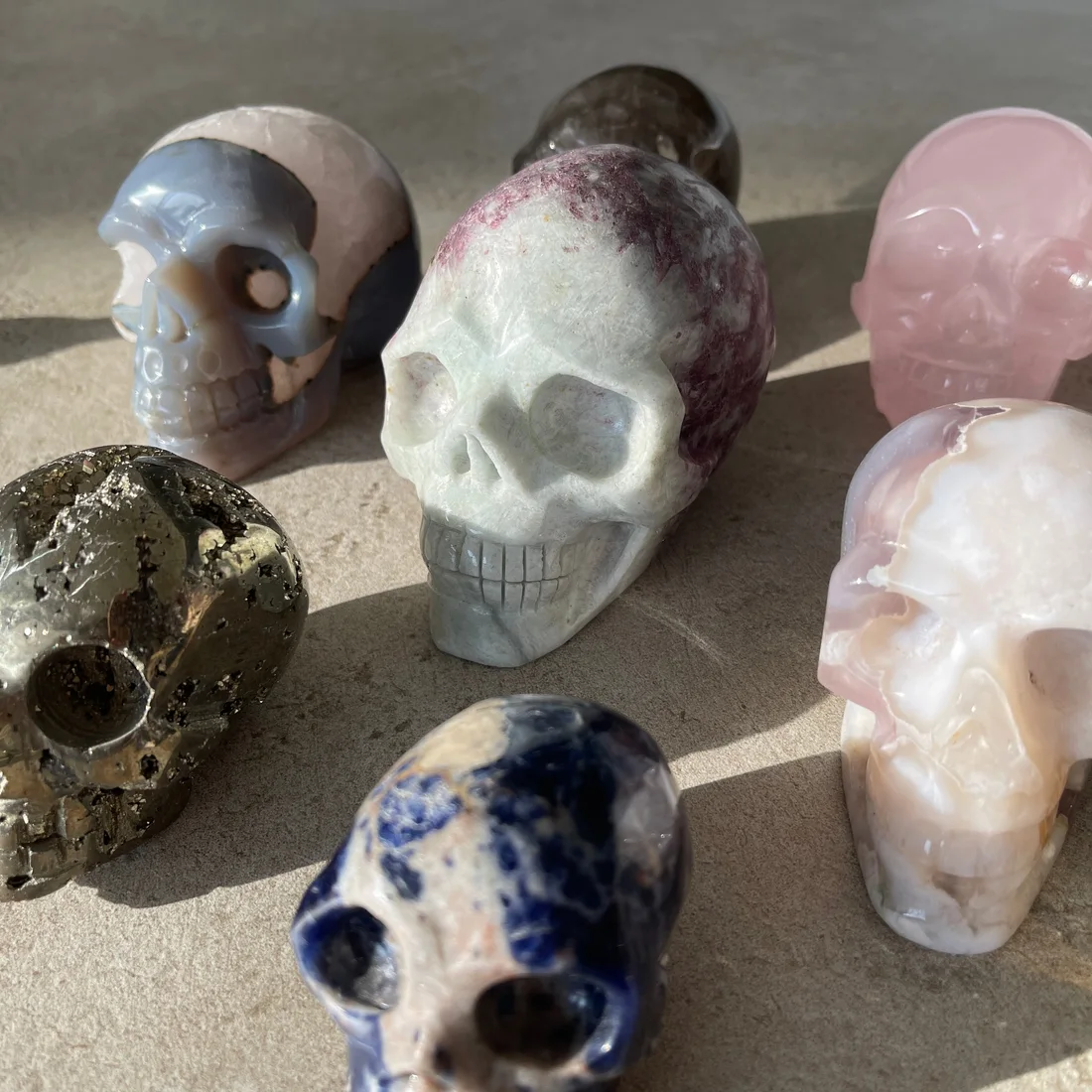 Large size skull