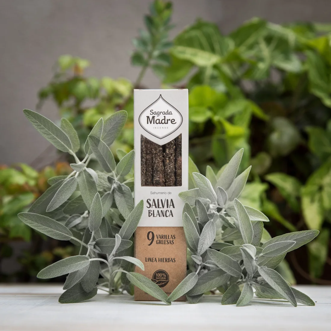 Sagrada Madre - White Sage Incense Sticks