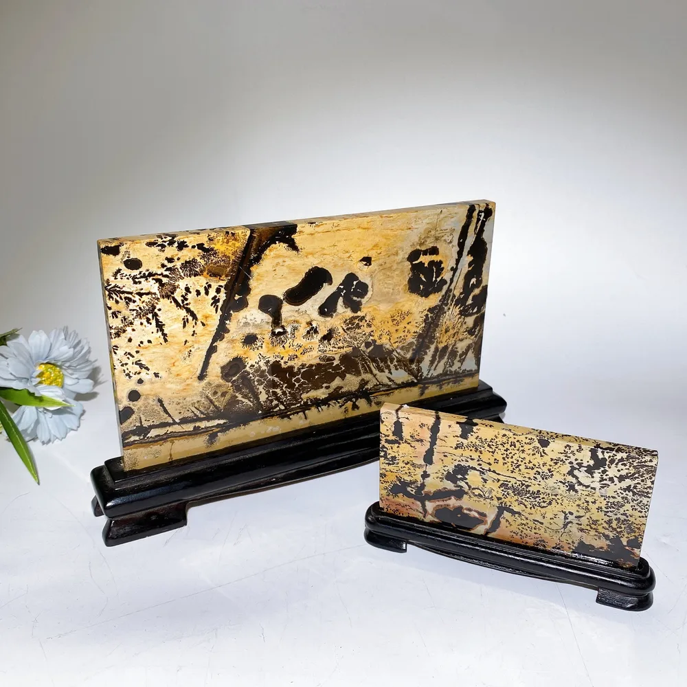12cm 22cm Picture Jasper Rectangle Slab with Stand Free Form Crystal Healing Bulk Wholesale