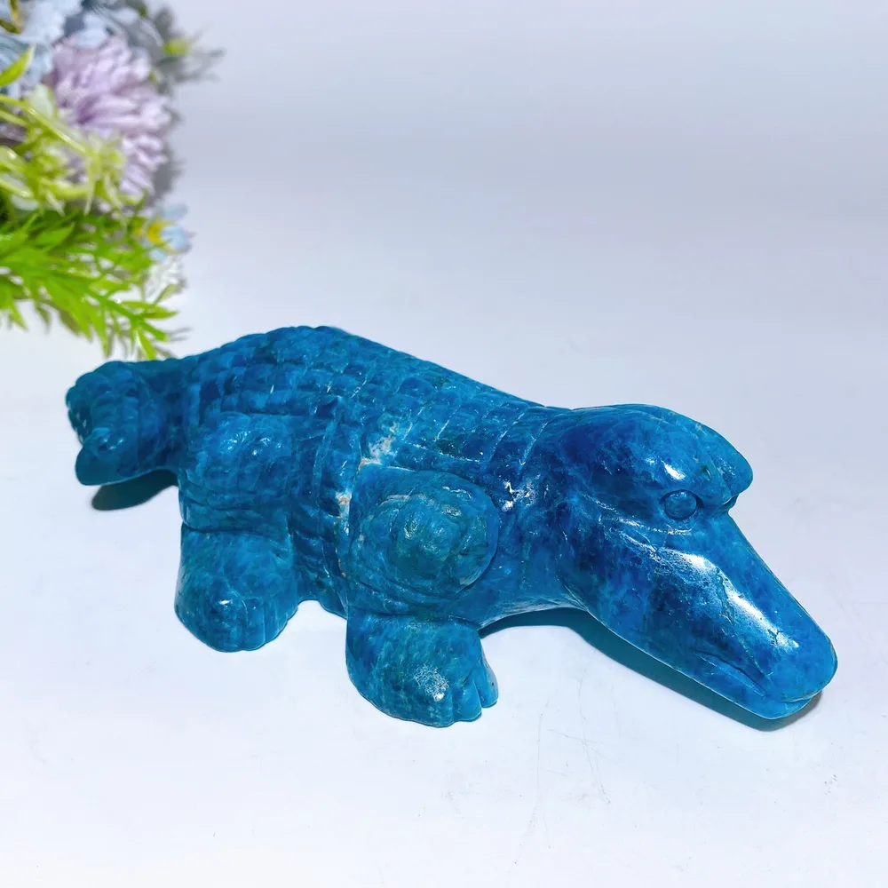 16cm Blue Apatite Crocodile Carving Crystal Healing Bulk Wholesale