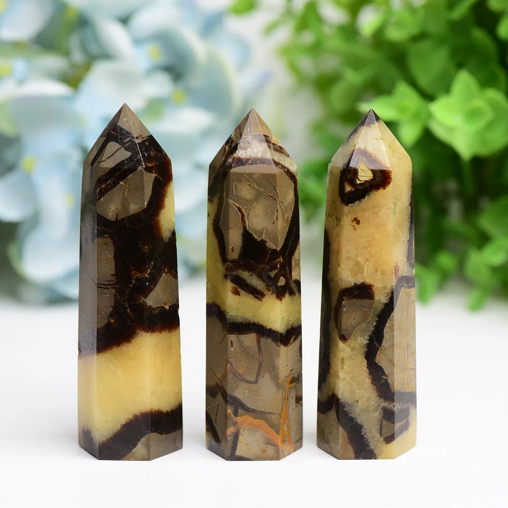 2.5"-4.5" Septarian Septarium Crystal Points Towers Bulk Best Crystal Wholesalers