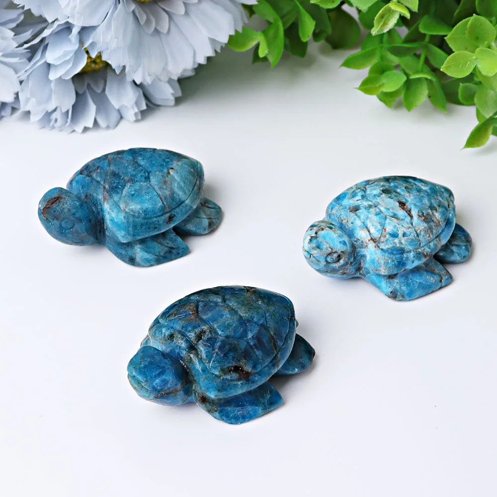 2.3" Blue Apatite Sea Turtle Crystal Carvings Best Crystal Wholesalers