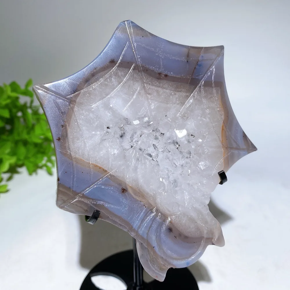 4.4" Druzy Agate Spider Web Carving with Stand Crystal Healing Bulk Wholesale