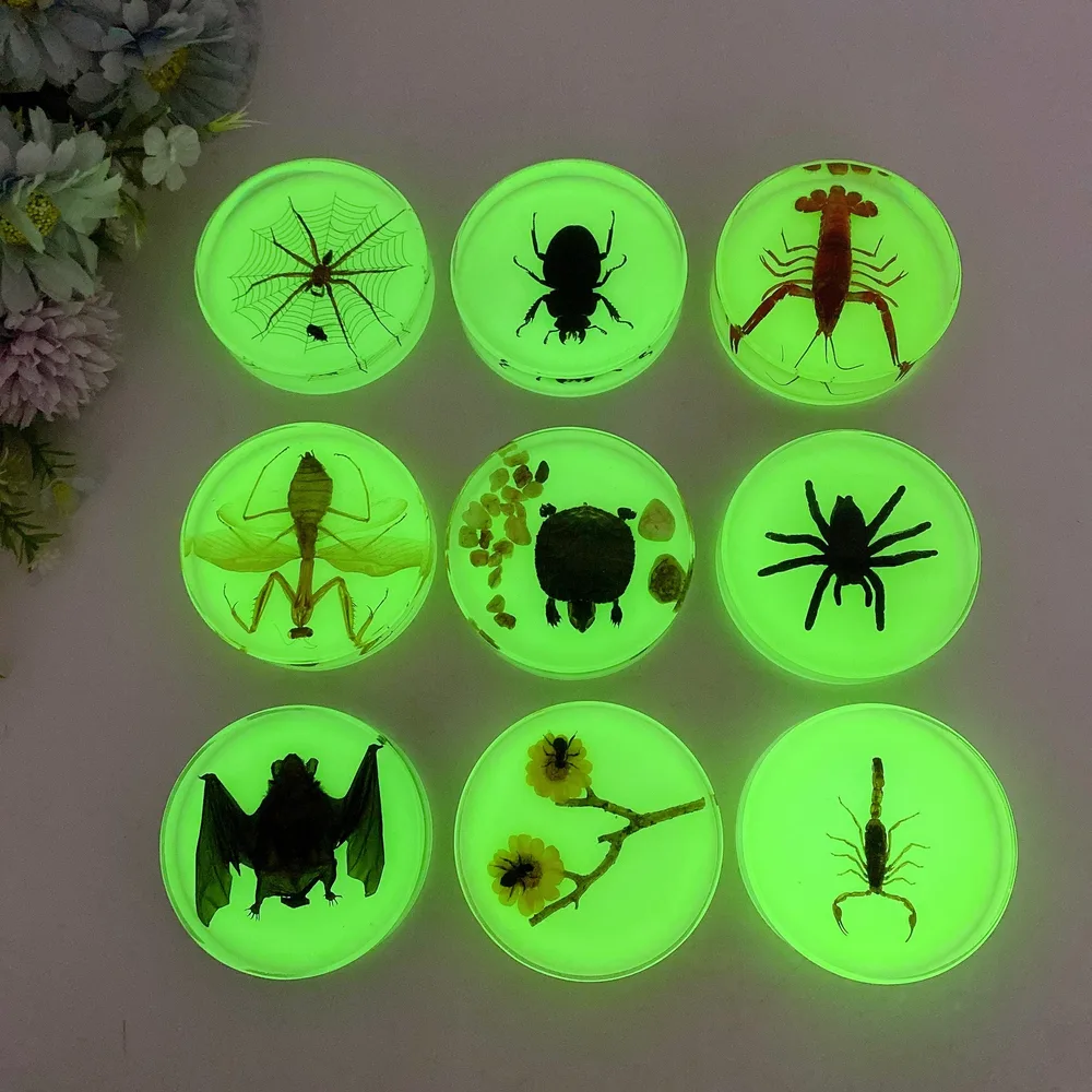8.5cm Luminous Round Slab with Insect Crystal Healing Bulk Wholesale