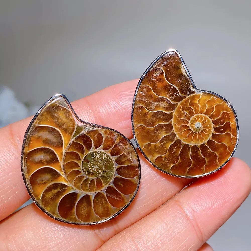 Adjustable Ammonite Ring Crystal Healing Bulk Wholesale