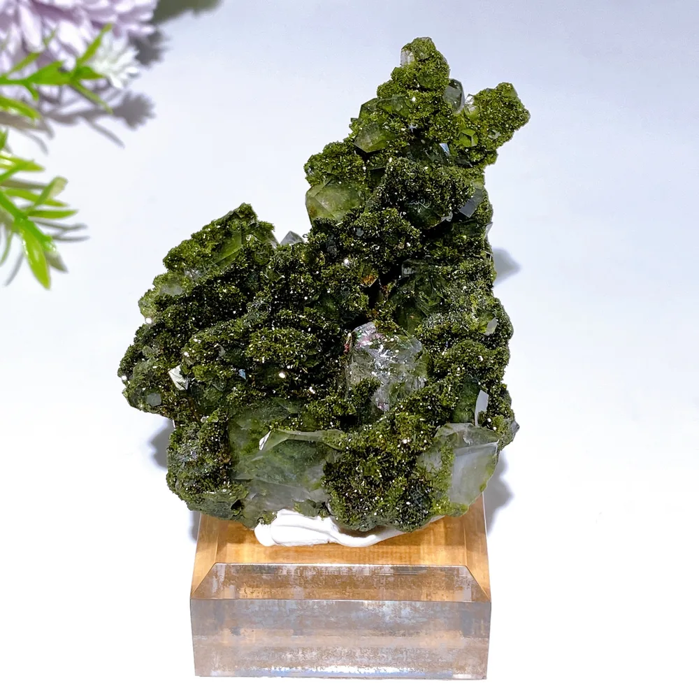 Forest Epidote with Quartz Specimen Crystal Healing Bulk Wholesale