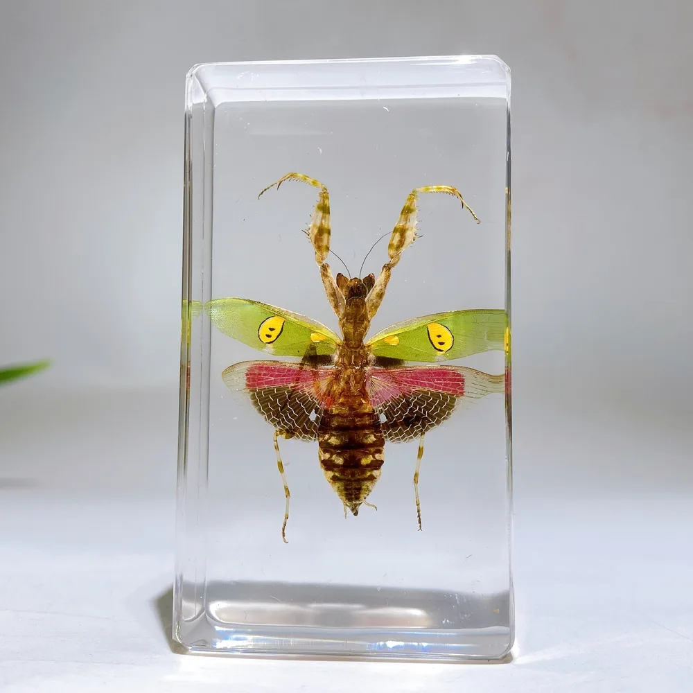 Resin Mantis Free Form Crystal Healing Bulk Wholesale