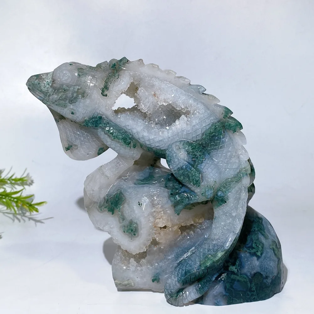 Unique Hand Carved Druzy Moss Agate Lizard Free Form Crystal Healing Bulk Wholesale